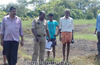Bantwal : Crude bomb kept for hunting purpose kills cow